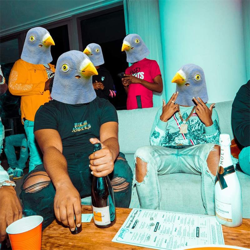 Pigeon Mask Costume Novelty Ha - Skincare Pigeon review and price